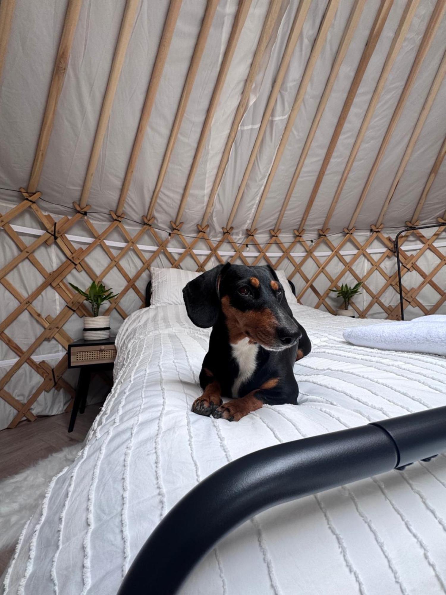 Luxuszelt The Yurt *